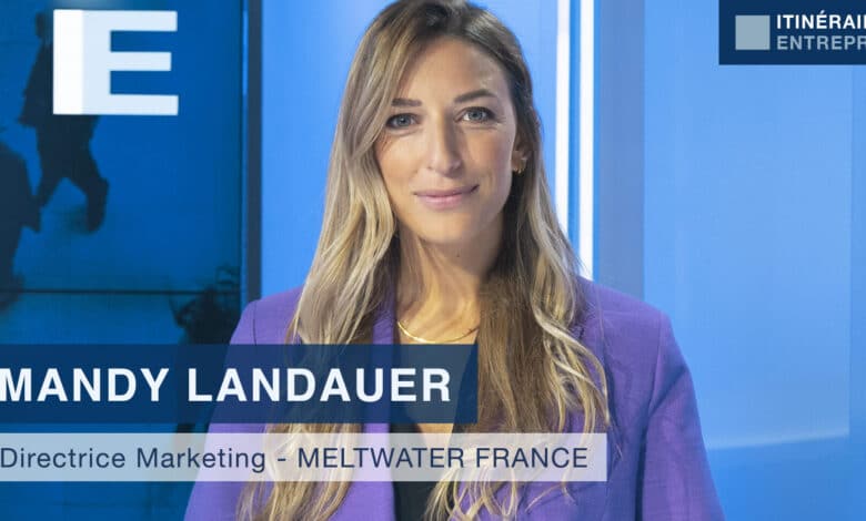 meltwater france